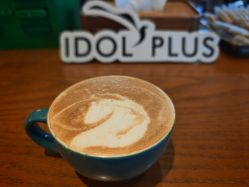 -IDOL-PLUS