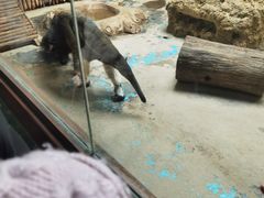-济南野生动物世界