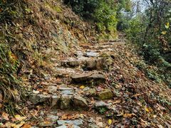 -东天目山风景区