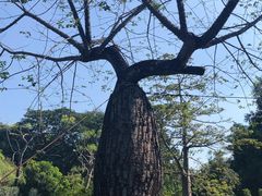 -华南国家植物园-售票处