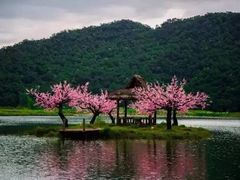 -莆田南少林寺