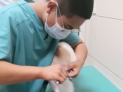 -北京观赏动物医院·24小时大型综合·猫专科·异宠专科