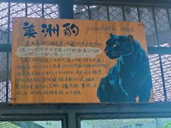 -昆明动物园