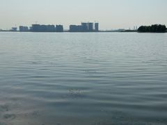 -郑东新区龙湖公共艺术中心