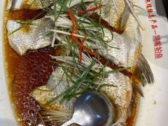 -丹江渔村(望京店)