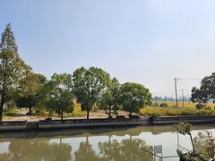 -上海佘山国家森林公园天马山园