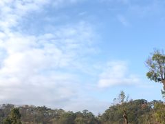 -飞凤山奥体公园