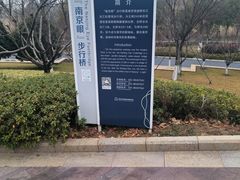 -南京眼步行桥