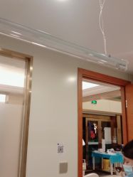 -碧莲盛·不剃发植发
