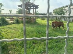 -祥源·阜阳生态乐园