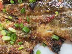 -龚海宝· 烧烤· 羊肉原切挂糊更好吃(庄市店)