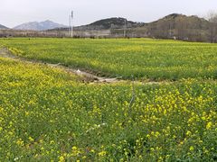 -西海岸生态观光园