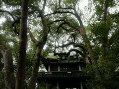 -蒋氏故居