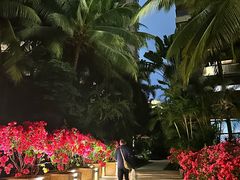 -三亚湾海居铂尔曼度假酒店