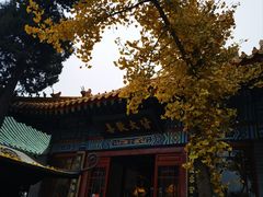 -千佛山风景名胜区