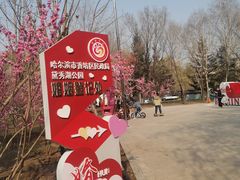 -黛秀湖公园