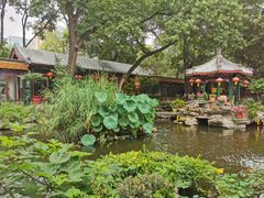 -白家大院·王府宫廷菜(苏州街店)