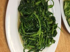 蒜蓉空心菜-ZF Seafood Restaurant 卓峰海鲜餐