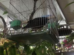 -葡萄园鱼庄(新津店)