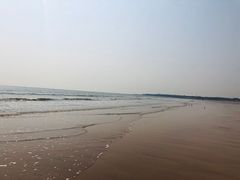 -日照海滨国家森林公园