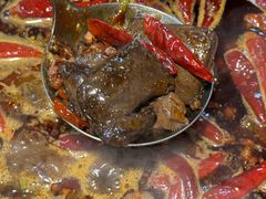 -阳阳老火锅(小南门店)