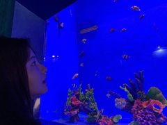 -厦门海底世界