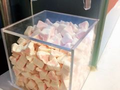 -狐狸和向日葵(北京路店)