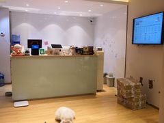 -Pets First伊珊娜洗护·精致美容·家庭式寄养(新会路店)