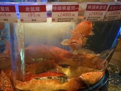 -陶陶居海鲜酒家(新马路店)