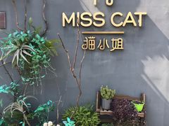 -IFIF 如果花園(宽厚里店)