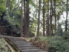 -火炉山森林公园