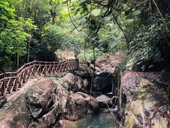 -广州市流溪河国家森林公园