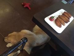 -百好乐宠物友好餐厅(朝外大街店)