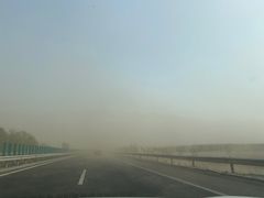 -PAWTOY爪e玩偶店(天兴罗斯福店)