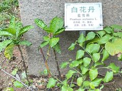 -广州神农草堂中医药博物馆