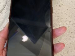 -翊宠yipet猫狗购宠庄园犬舍•猫舍