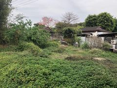 -崖口煲仔饭