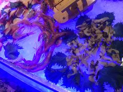 -杭州国际会议中心洲际酒店-原素全日餐厅(解放东路店)