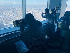 -东京都厅舍