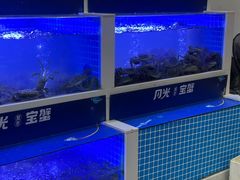 -蟹状元大闸蟹·年货·粽子(成都成华店)