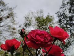 -人民公园(罗湖区)