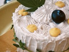 -野草莓自由市场