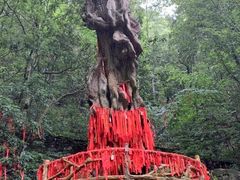 -燕子河大峡谷天坑仙境