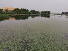 -滆湖低碳生态公园