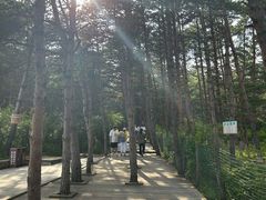 -帽儿山国家森林公园