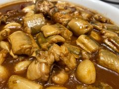 辣烧活鳗林-开海·红岛海鲜虾水饺(八大关店)