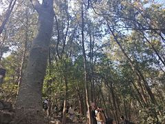 -云龙山