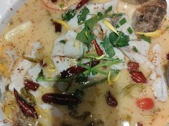 -花溪雨·森林餐厅(石基店)