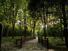 -月坛公园