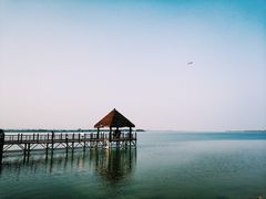 -瑶湖郊野森林公园